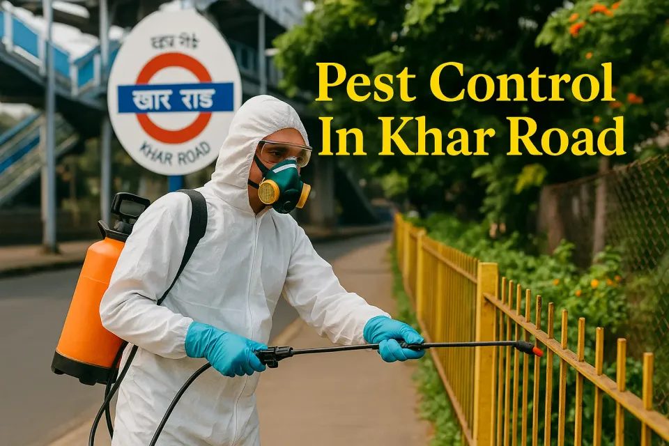 Pest Control in Khar Road: Your Ultimate Guide to a Pest-Free Environment 🐜