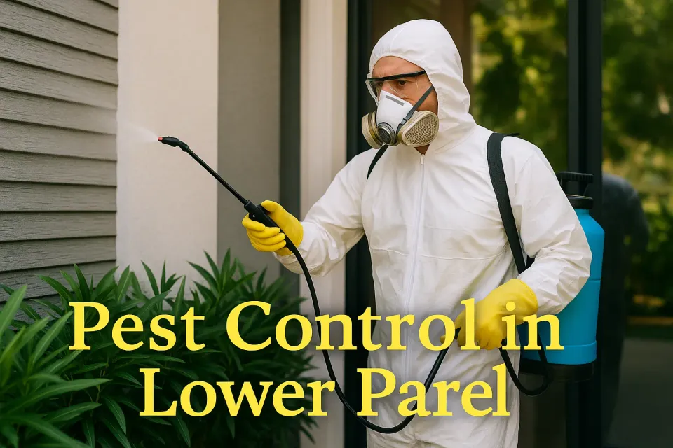 Pest Control in Lower Parel: Your Complete Guide to a Pest-Free Environment 🐜
