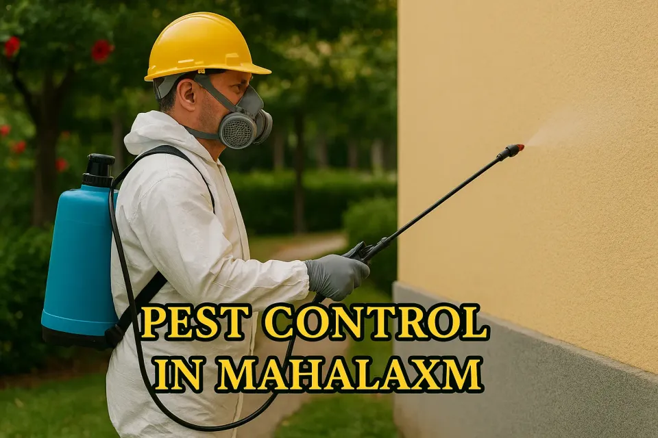 Ultimate Guide to Effective Pest Control in Mahalaxmi: Safeguard Your Home 🏡
