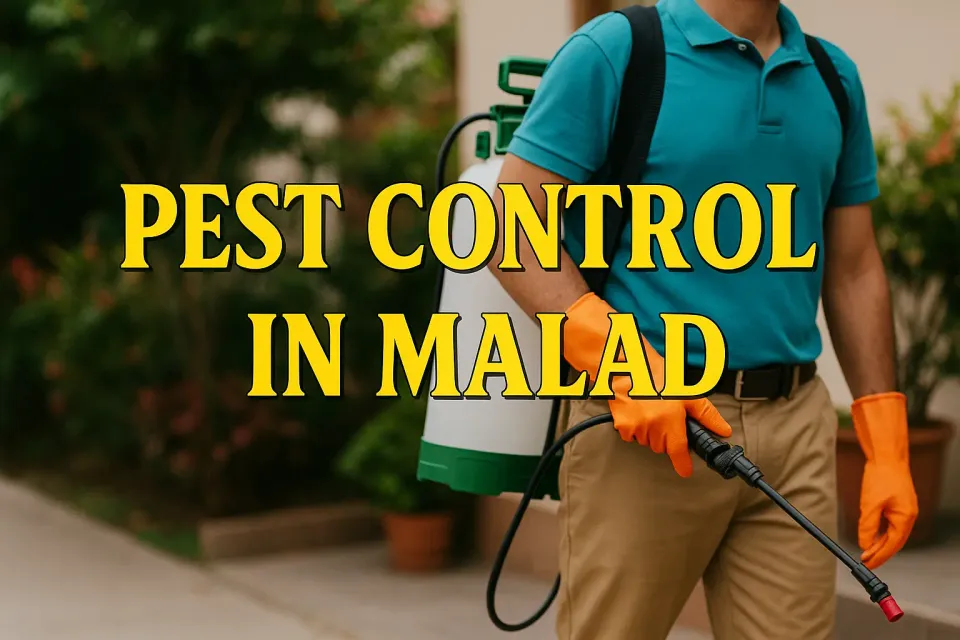 Comprehensive Guide to Effective Pest Control in Malad: Safeguard Your Home 🏡