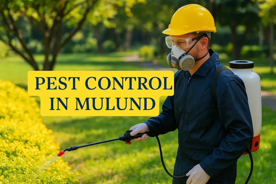 Pest Control in Mulund: Your Complete Guide to a Pest-Free Environment 🐜