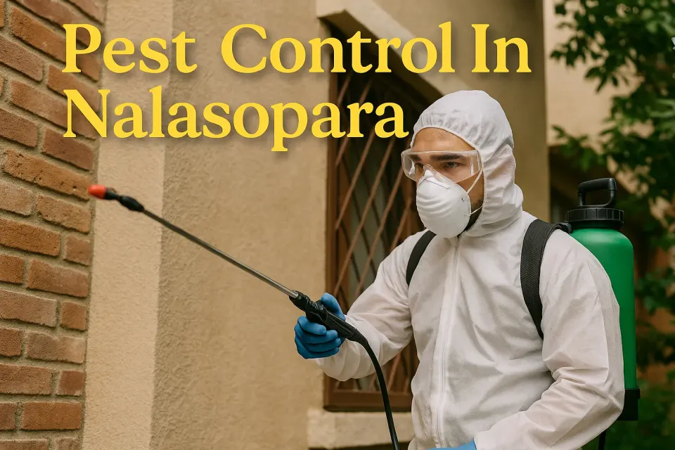 Pest Control in Nalasopara: Your Ultimate Guide to a Pest-Free Environment 🐜