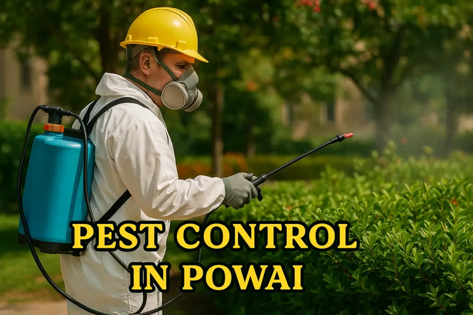Ultimate Guide to Effective Pest Control in Powai: Keep Your Home Pest-Free 🏠