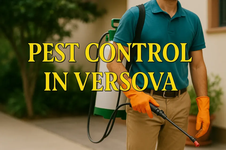 Ultimate Guide to Effective Pest Control in Versova: Protect Your Coastal Home 🏡