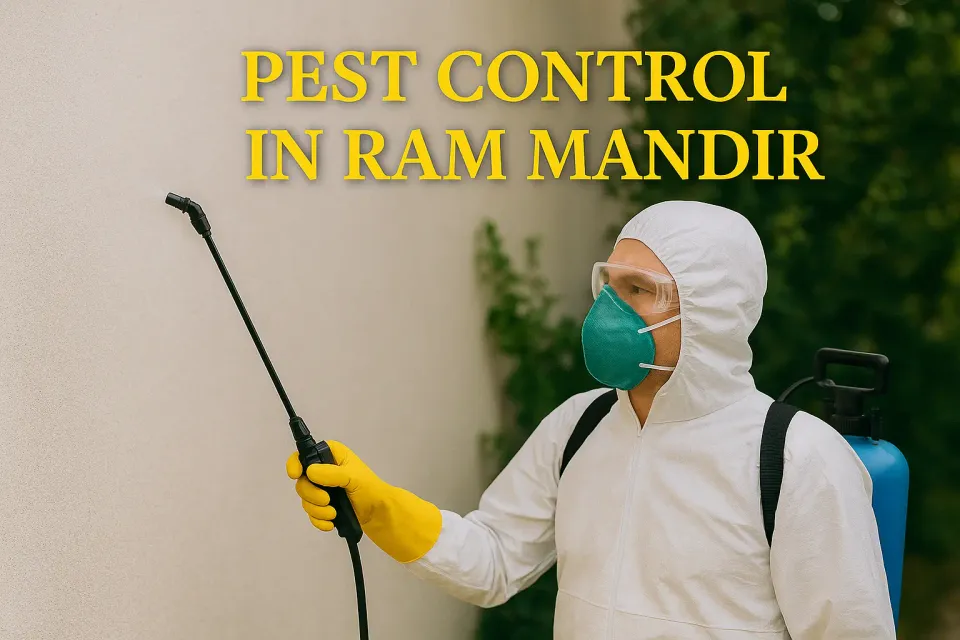 Comprehensive Guide to Effective Pest Control in Ram Mandir: Protect Your Home 🏡