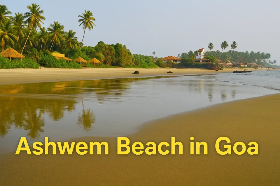 Ashwem Beach In Goa: Discover the Tranquil Charm of North Goa’s Coastal Haven 🏖️
