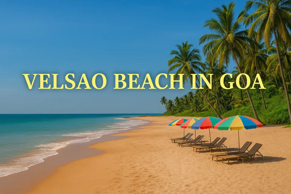 Velsao Beach In Goa: Discover the Tranquil Beauty of South Goa’s Hidden Gem 🏖️